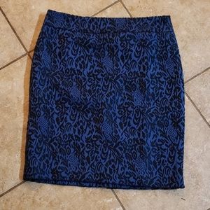 Pencil Skirt